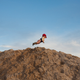 Illustration for article titled Photographer refuses to reveal how she made her baby fly